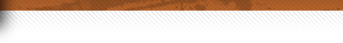 bannerbr